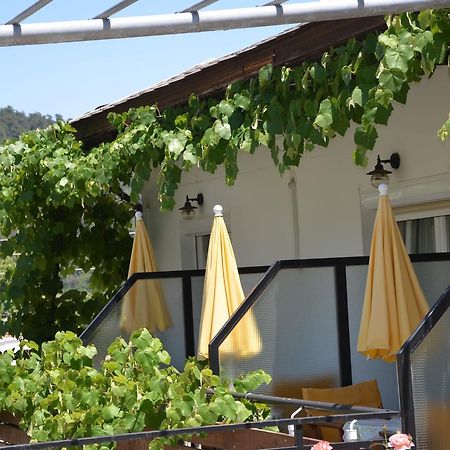 Hotel Theo Panagia  Exteriér fotografie