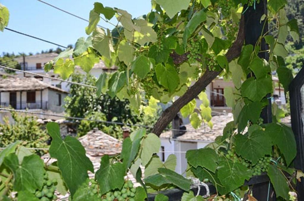 Hotel Theo Panagia  Pokoj fotografie